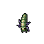 Brain Parasite