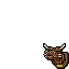 Behemoth Trophy
