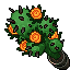 Blooming Cactus