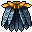 Calopteryx Cape
