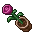 Potted Flower