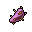 Prickly Pear